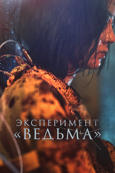 Эксперимент «Ведьма»